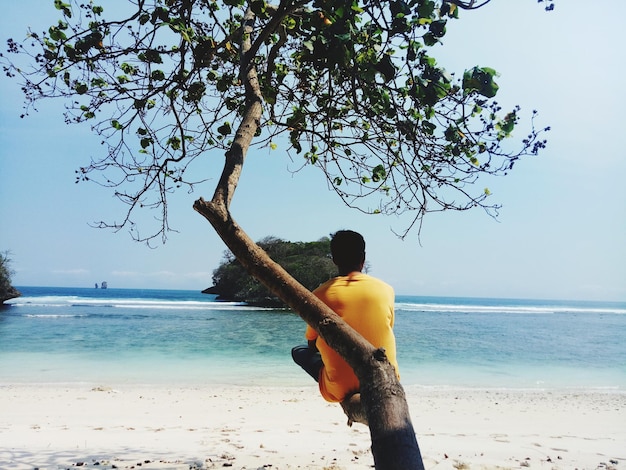 Foto hintergrundansicht eines mannes, der am strand gegen den himmel auf einem baum sitzt