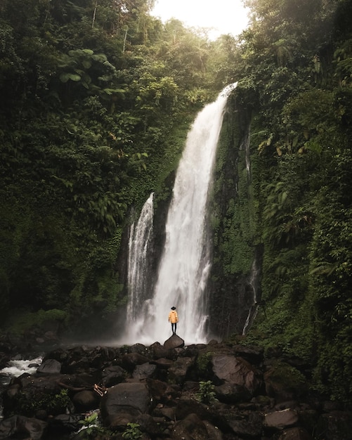 Hintergrundansicht eines Mannes, der an einem majestätischen Wasserfall auf einem Felsen steht