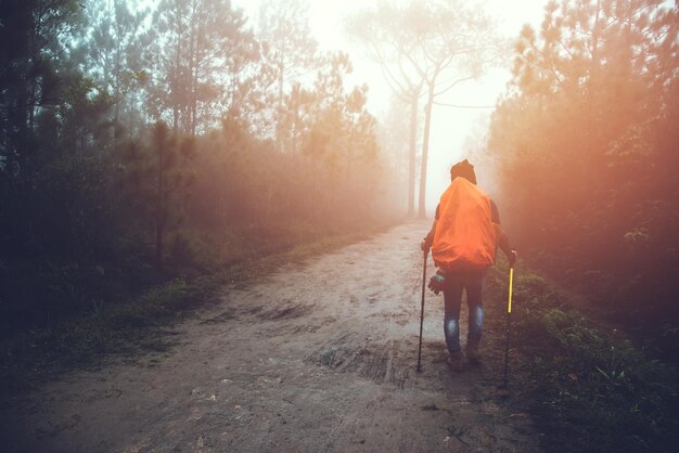 Foto hintergrundansicht eines mannes, der auf einem fußweg inmitten von bäumen geht