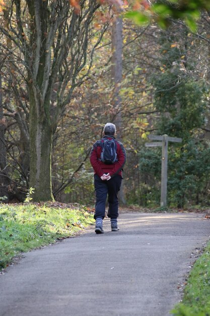 Hintergrundansicht eines Mannes, der auf einer Straße im Wald geht