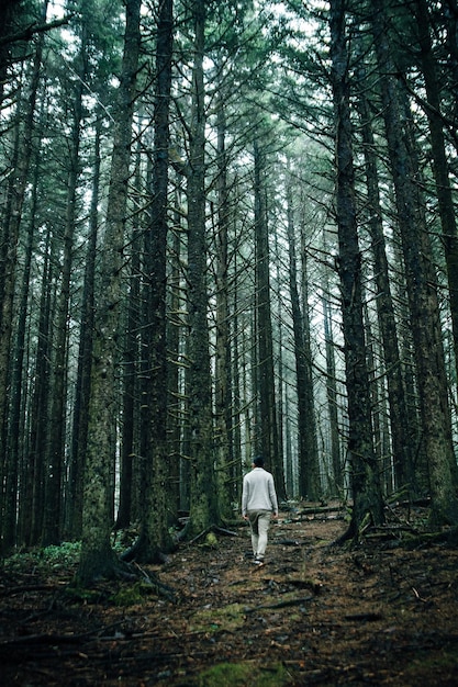 Hintergrundansicht eines Mannes, der im Wald geht