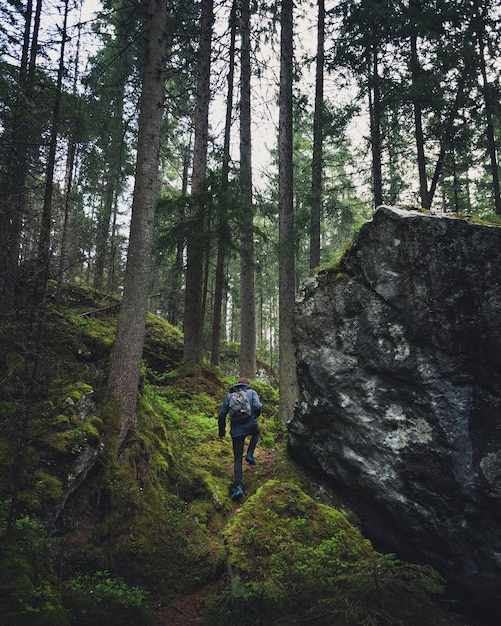 Hintergrundansicht eines Mannes, der im Wald geht
