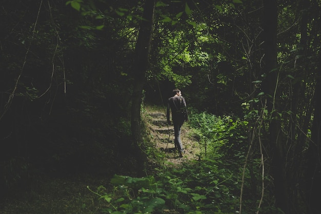 Hintergrundansicht eines Mannes, der im Wald spazieren geht