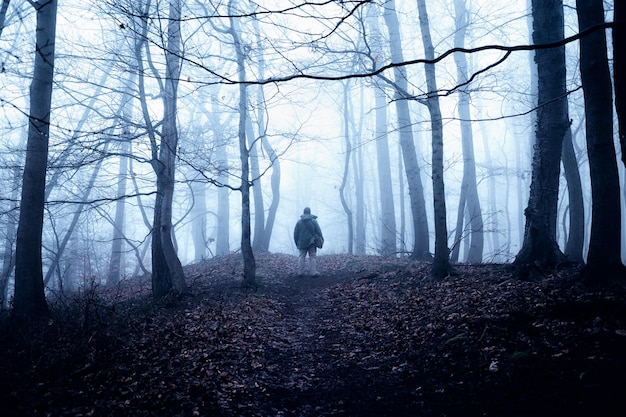 Hintergrundansicht eines Mannes im Wald