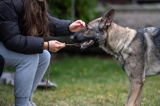 Foto hintergrundansicht eines mannes mit hund auf einem grasbewachsenen feld