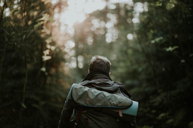 Hintergrundansicht eines Mannes mit Rucksack im Wald