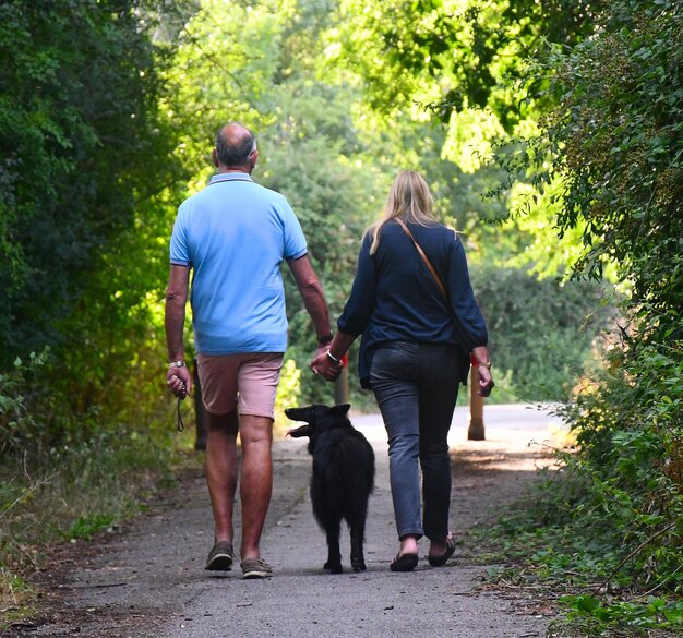 Foto hintergrundansicht eines mannes und einer frau, die mit einem hund spazieren gehen