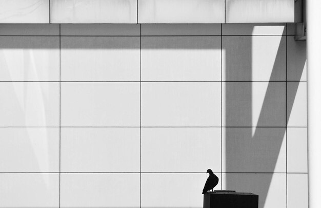 Foto hintergrundansicht eines silhouettenmannes, der am gebäude steht