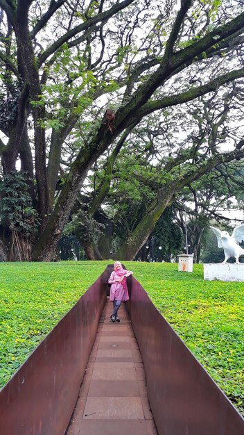 Foto hintergrundansicht von frauen, die auf einem fußweg im park spazieren gehen