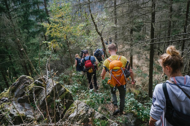 Foto hintergrundansicht von menschen, die im wald laufen