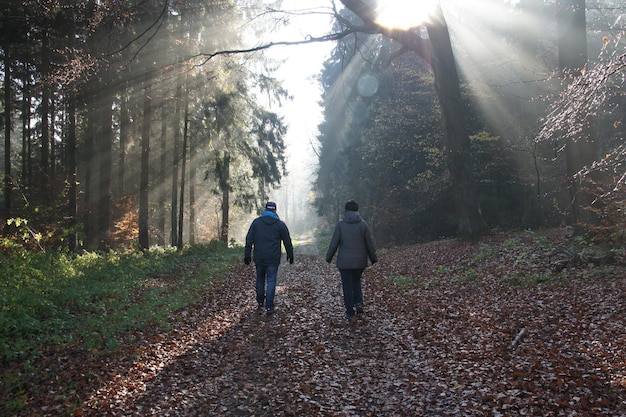Hintergrundansicht von Menschen, die im Wald spazieren gehen