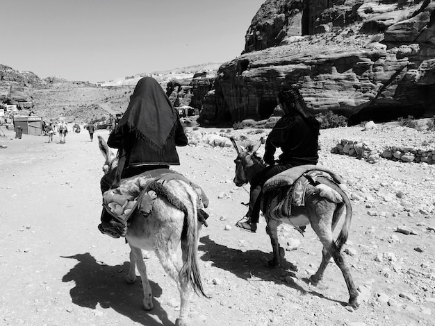 Hintergrundansicht von Touristen, die auf Eseln in Petra gegen klaren Himmel reiten