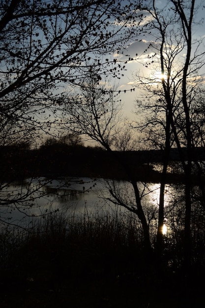 Hintergrundbeleuchtung Landschaft Bäume und See