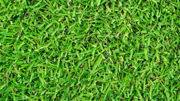 Hintergrundbeschaffenheit des grünen Grases des Fußballplatzes