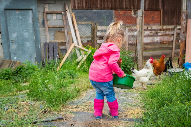 Hintergrundbild in voller Länge von Mädchen, das Hühnervögel auf einem Bauernhof füttert