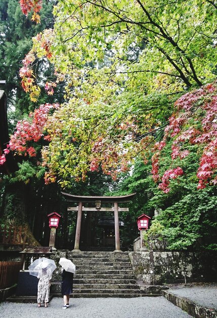 Foto hintergrundbild in voller länge von menschen, die am torii-tor stehen