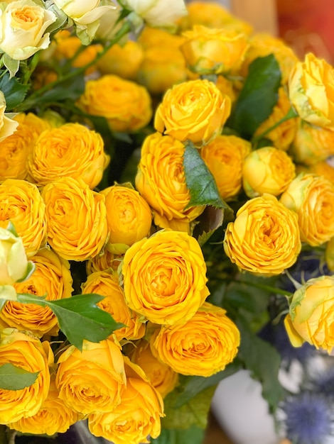 Hintergrundbild von leuchtend gelben pfingstrosenförmigen Buschrosen ein Strauß schöner Blumen für ein Geschenk