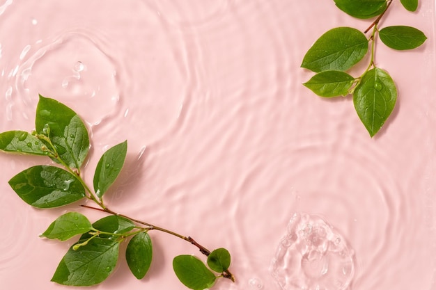 Hintergrundkosmetik-Schönheitsprodukt im Wassertropfen