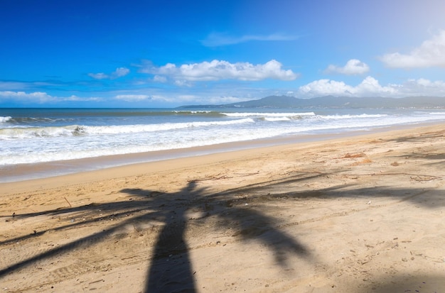 Hintergrundlandschaft mit Palmen bewölkt Meer und blauer Himmel