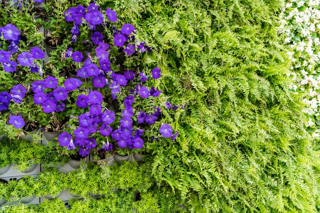 Hintergrundmaterial der Blumen- und Pflanzenwand