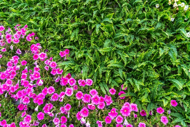 Hintergrundmaterial der Blumen- und Pflanzenwand