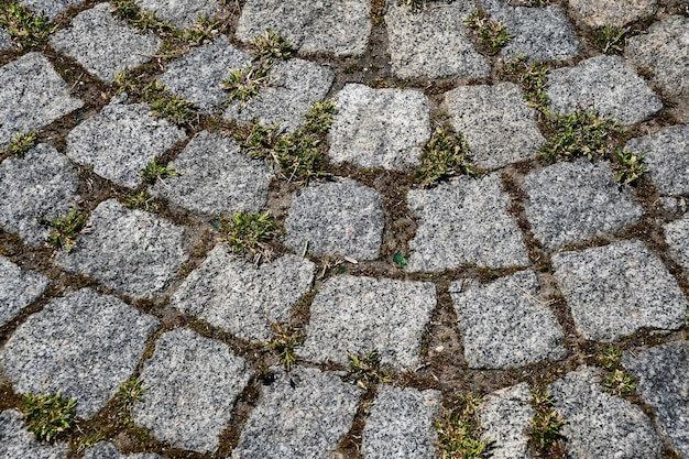 Hintergrundsteinstruktur Flache quadratische Steine und grünes Gras