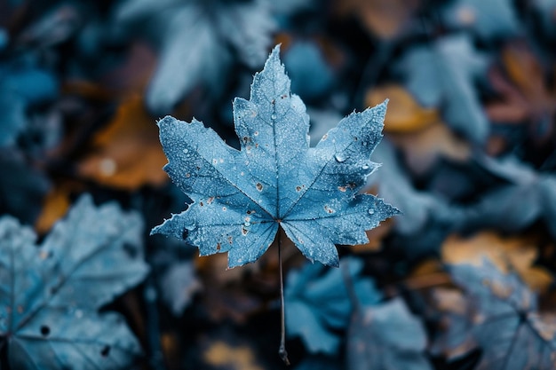 Hintergrundtapete mit dunklem Blatt