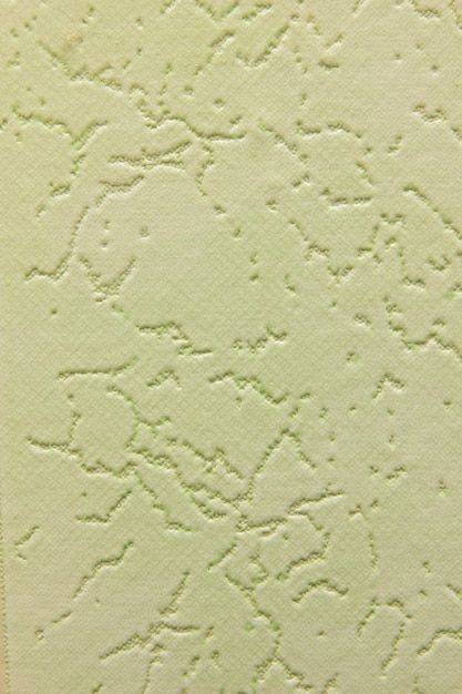 Hintergrundtextur einer grün bemalten Wand. Dekorativer Wandputz hellgrüner Texturhintergrund