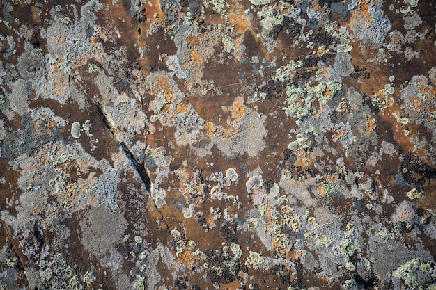 Hintergrundtextur eines graubraunen Steins auf dem Felsen des Altai-Gebirges in Grün und Weiß