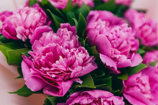 Hintergrundtextur mit einem Strauß rosa Pfingstrosen