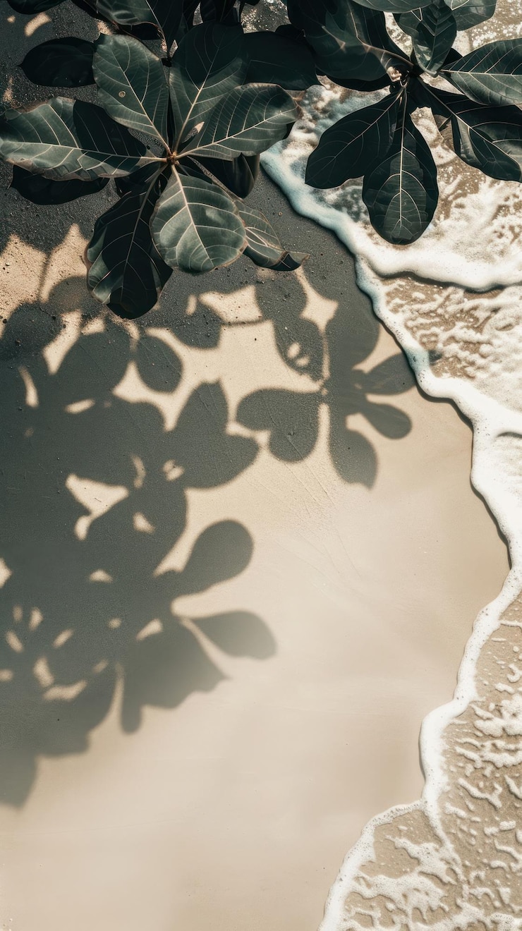 Foto hintergrundwandpapier am strand pflanzenblattvegetation