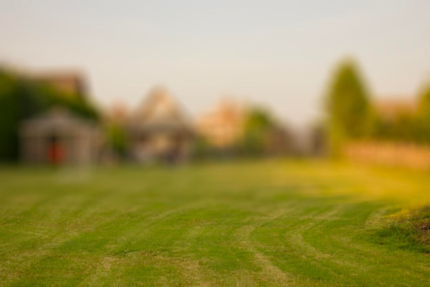 Hinterhof mit wunderschön getrimmtem Gras. Selektiver Fokus