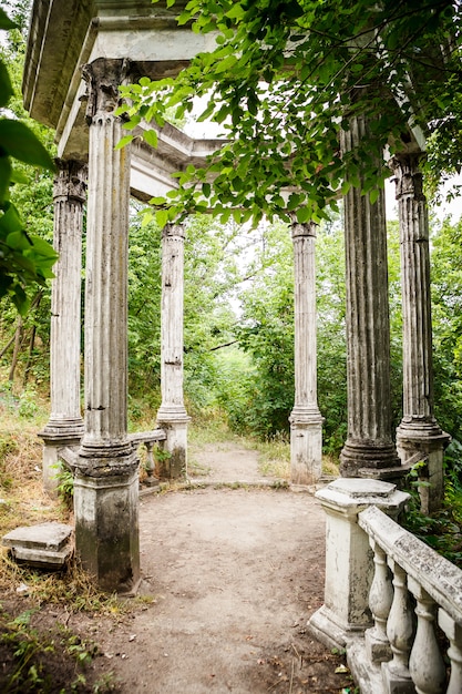 Hinterhofgarten mit schmaler Straße zur Laube