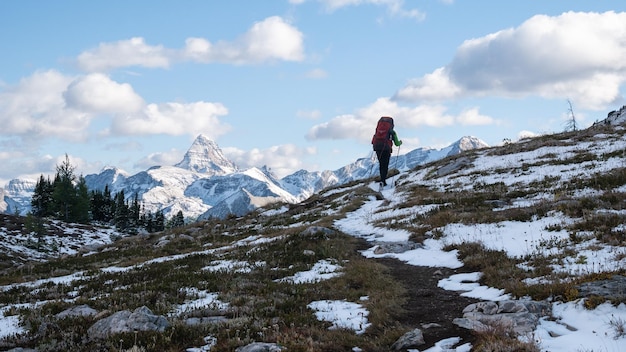 Hinterlandwanderer, der an einem sonnigen tag mt assiniboine provincial park kanada in richtung berge geht