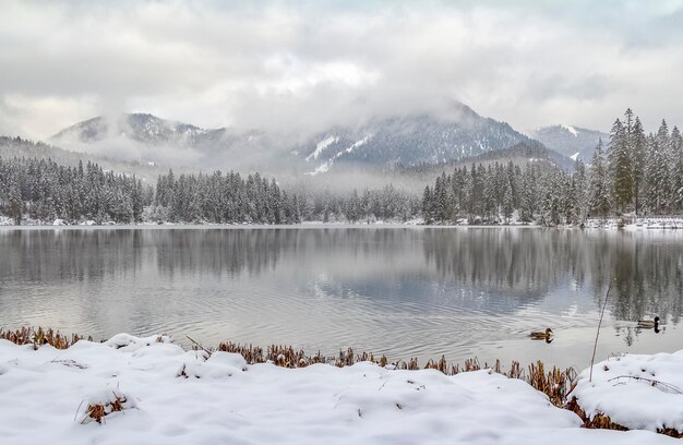 Hintersee im Winter