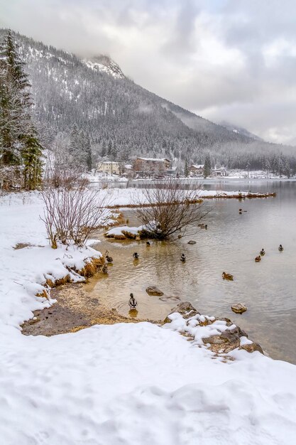 Hintersee im Winter