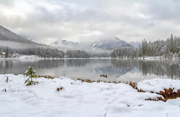 Hintersee im Winter