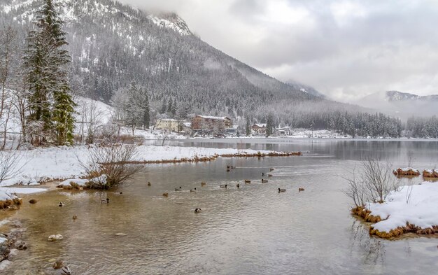 Hintersee en invierno