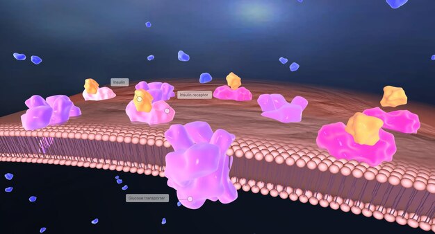 Foto la hipoglucemia puede ocurrir como resultado de los medicamentos de insulina utilizados para tratar la diabetes.