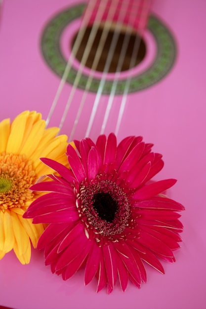 Hippie flor gerbera rosa amarela na guitarra