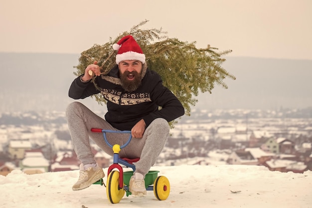 Hipster feliz llevando árbol de Navidad en la nieve blanca