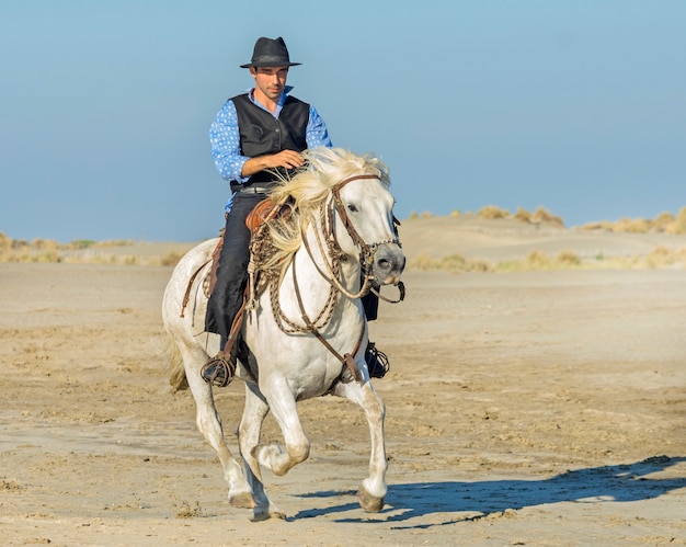 Hirte am Strand