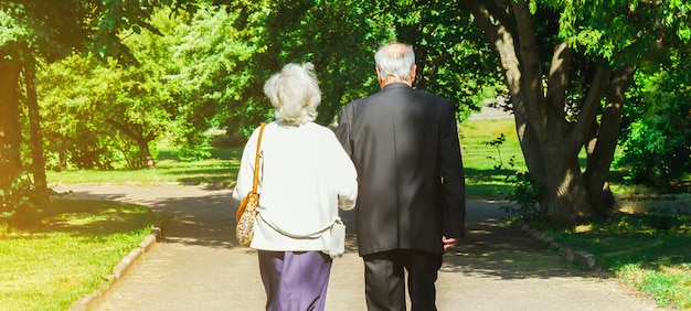 História de amor feliz casal sênior. casal de idosos está caminhando no parque verde. avó e avô rindo. estilo de vida das pessoas idosas. juntos reformados.