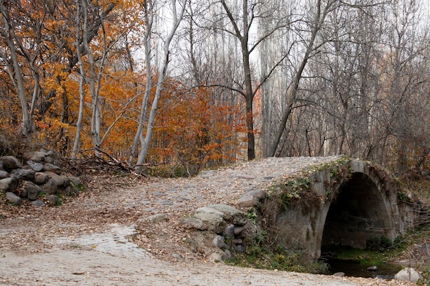 Historische Steinbrücke im Wald