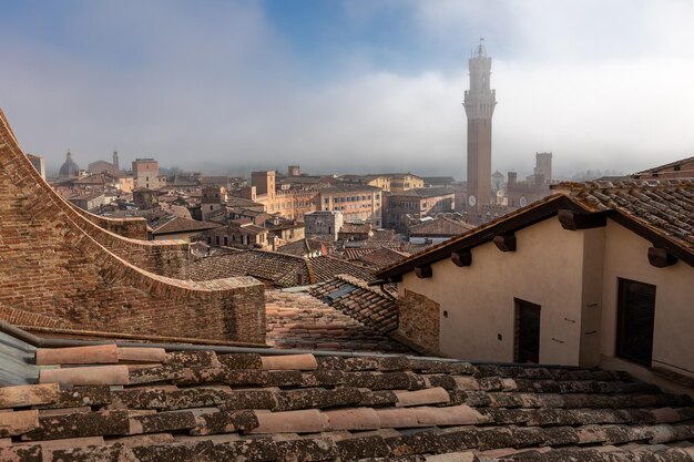Historisches Zentrum mit Fliesendächern Torre del Mangia mittelalterlicher Turm im morgendlichen Nebel Siena Italien