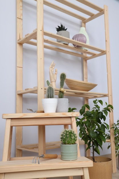 Hobby aconchegante cultivando plantas de interior em casa