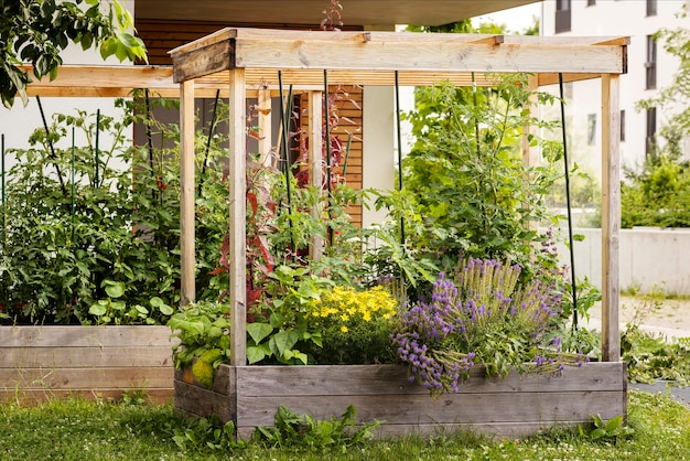 Hochbeet mit Spalier und Dachüberstand. Selbstanbau von Tomaten, Gemüse in Hochbeeten