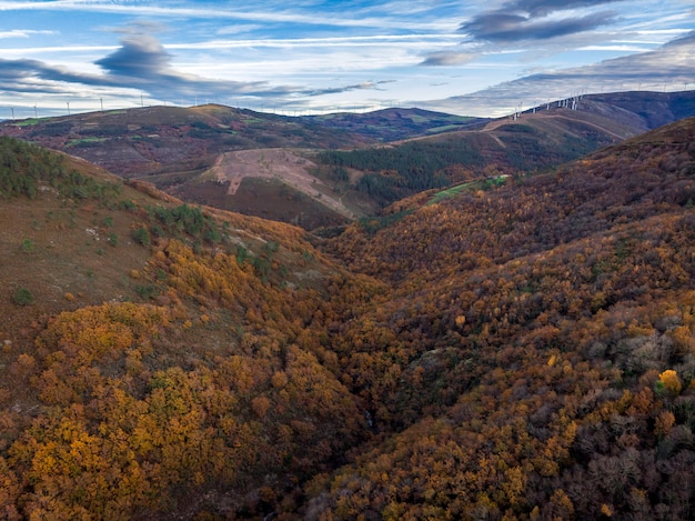 Hochgebirgslandschaft mit Baumwäldern und Herbstfarben