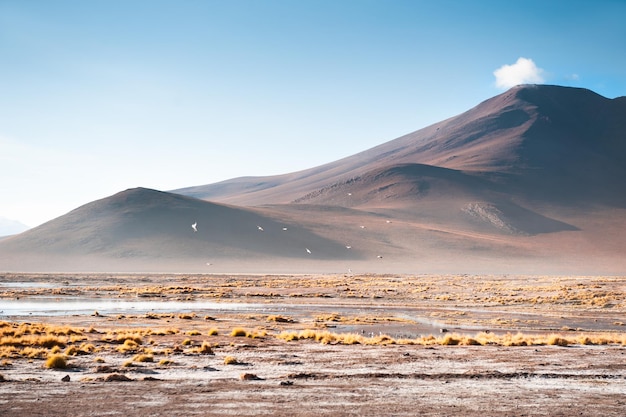 Hochgebirgslandschaften im Altiplano-Plateau, Bolivien.