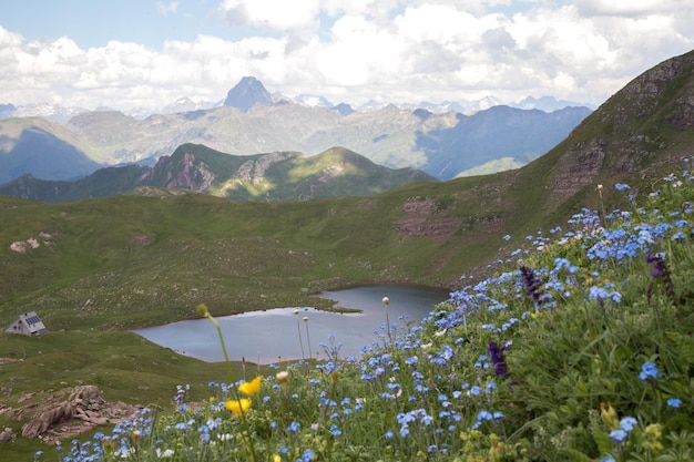 Hochgebirgspass mit See im Sommer